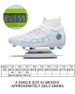 Foot Sheng Direct Sales Large Size Long Spike Football Shoes 35-46 Sizes_voghion.com