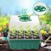 6/12 Cell Higher Cover Nursery Tray Box With Growing Light Seedling Germination Planting Pot Full Spectrum LED Growth Promotion_voghion.com