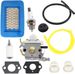 C1M-K49 K16 K77 Carburetor For Echo PB-602 603 610 611 403H PB403T A021000890_voghion.com