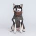 Clothing Autumn Winter Cotton Coat Cape Quilted High Collar Pet Apparel Dog Jacket_voghion.com