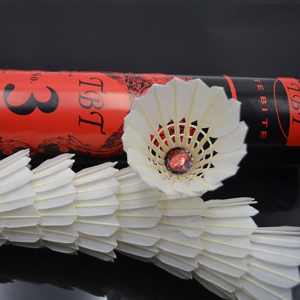 TBT Stable Flight Duurzame 12-Pack Wedstrijd Training Professionele Badminton 7776_voghion.com