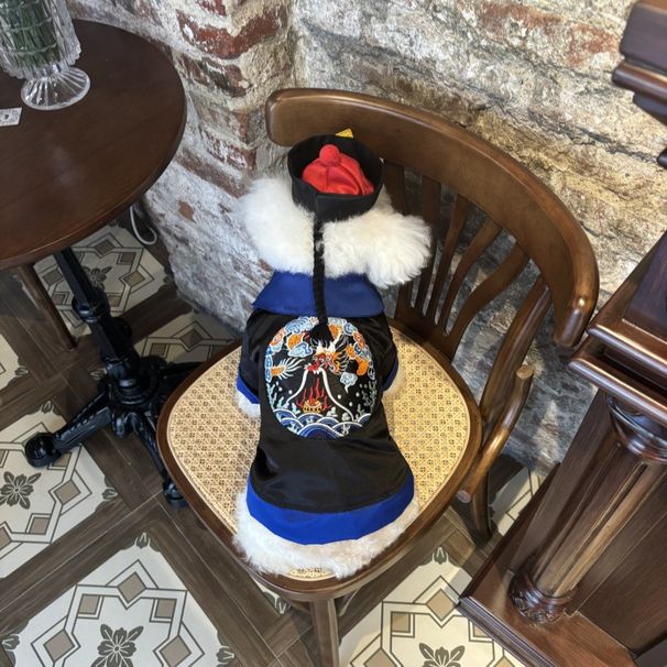 Halloween Costume Teddy Bichon Cat Transformed Into Dog Clothes Pet Zombie Cosplay Set_voghion.com