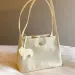Nanfeng Chio2nd Park Tote For Women Spring Summer Outing Small Handbag Commuting Handheld Shoulder Bag_voghion.com