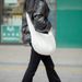 Kassikott kaasaskantav kassikoera seljakott crossbody lemmikloomakott kassi jalutuskott lõuendist kott ühe õlaga kassikott_voghion.com