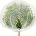 Garden Plant Cover With Drawstring & Zipper - Reusable Insect & Bird Protection Net For Vegetables Fruit Trees And Greenhouse (6x8ft White)_voghion.com