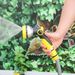 One Yellow 8-function Handheld Water Sprinkler To Upgrade Your Garden, Made Of ABS Resin, With An Adjustable Nozzle, Suitable For Car Washing_voghion.com