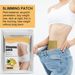 Ginger Body shaping for Big Belly, Small Waist, Tight Belly Button, Lightweight Health Care Patch 2024 popular_voghion.com