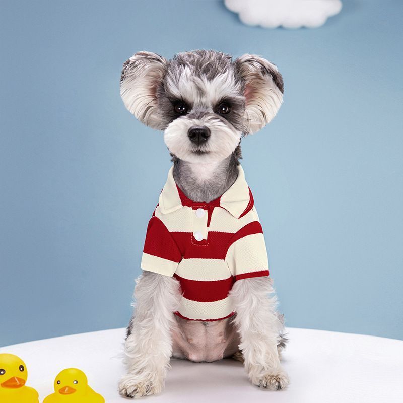 Vêtements d'été pour petits chiens, vêtements pour animaux de compagnie, chemise pour chien de dessin animé, t-shirt pour chihuahua, gilet pour chiot, Yorkshire Terrier, vêtements pour animaux de compagnie Ropa Perro_voghion.com