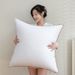 Rectangular Pillow Insert Set - 4-Size High Density Polyester Fiber Filling For Sofa & Bed Cushions Non-Sagging Pillow Core Hypoallergenic_voghion.com