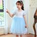 Kinderkleidung Prinzessinnenkleid für Mädchen Sommerkleid neu Frozen Kleid Geschenk zum Kindertag_voghion.com