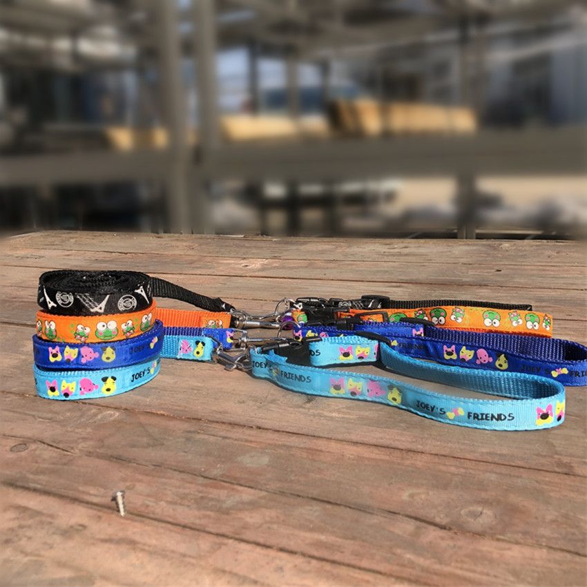 Patch Nylon Dog Chain Leash Pet Supplies Portable_voghion.com