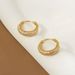 Sterling silver zircon earrings electroplated gold-plated diamond Korean style INS style earrings female niche all-match_voghion.com