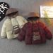 Children's Korean Style Jacket For Boys Girls, 2024 Autumn Winter New Cotton Coat, Cold-Proof And Warm_voghion.com