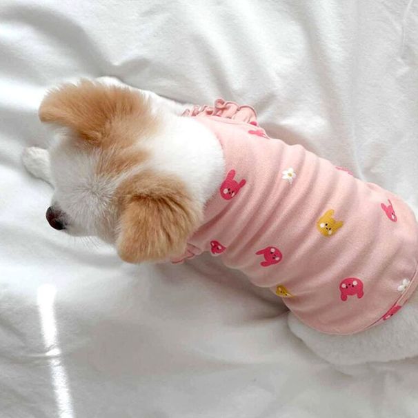 Spring Thin Cat Flying Sleeve Vest Dog Two-Legged For Small And Medium Dogs Puppies Cats Autumn Pet Clothes_voghion.com