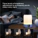 Shanshui Same Style DY20K Wireless Karaoke Bluetooth Small Night Light Table Lamp Music Atmosphere Outdoor Speaker_voghion.com