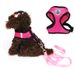 Pet Vest Style Mesh Harness Set Breathable Cat Dog Leash_voghion.com