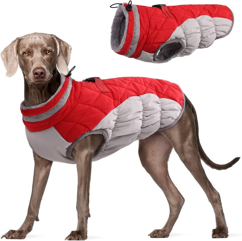 pet clothes dog cotton coat winter windproof warm dog cotton coat plus velvet thick down cotton coat_voghion.com