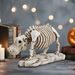 Unique Skull Animal Skeleton Specimen Hippo Ornament Halloween Desktop Decoration_voghion.com