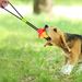 Dog Durable Chew Teething Tug-of-War Treat Dispensing Toy Boredom Reliever For Small And Medium Dogs Pets_voghion.com