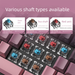 RuiYi F87 Key Mechanical Keyboard Gaming Wired Office Laptop Blue Brown Switch Red_voghion.com