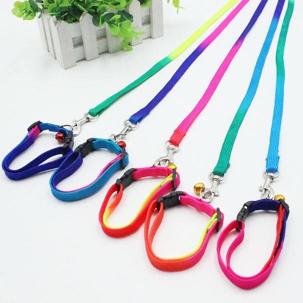 Hondenketting Kleurrijke Huisdierhalsband Puppyriem_voghion.com