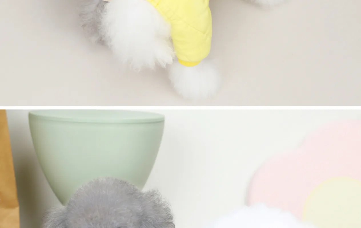 Pet dog autumn and winter new clothes, pet clothing 22 obediently bear four leg cotton clothes_voghion.com