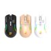 Digitex Digitex R8 Brand Wireless Bluetooth Dual Mode Mechanical Office Gaming Universal Colorful Luminous Mouse Cross-Border Wholesale_voghion.com