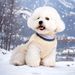 New Dog Clothes Fleece Jacket With Leash Attachment Warm Cloud Feel Thickened Puppy Pet Cotton Coat Korean Style Winter_voghion.com