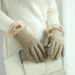 Women's Gloves New Alpaca Wool Gloves Autumn And Winter Warm Touch Screen Split Finger Gloves Plus Velvet Thick Warm Gloves Women_voghion.com