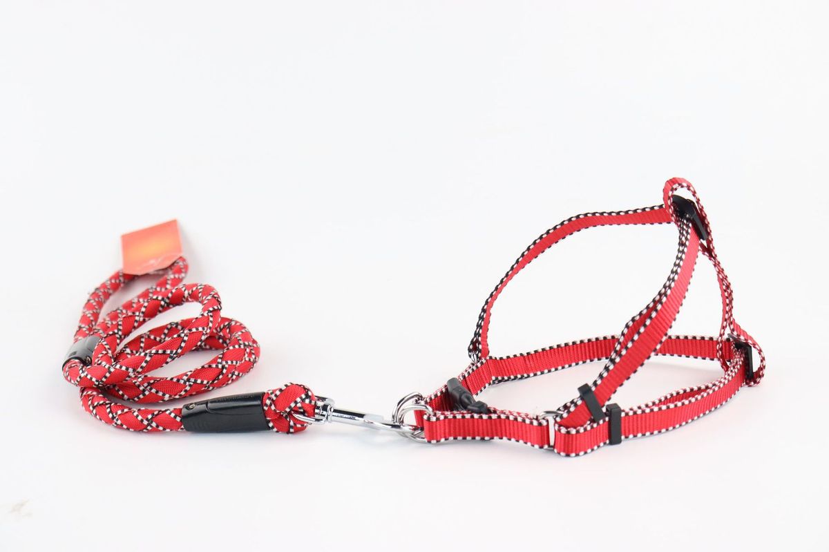 Zestaw smyczy dla zwierząt z obrożą i szelkami w jednolitym kolorze, odblaskowy w nocy_voghion.com