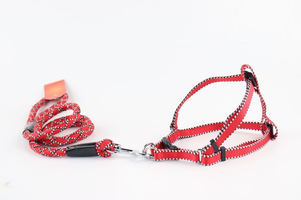 Zestaw smyczy dla zwierząt z obrożą i szelkami w jednolitym kolorze, odblaskowy w nocy_voghion.com