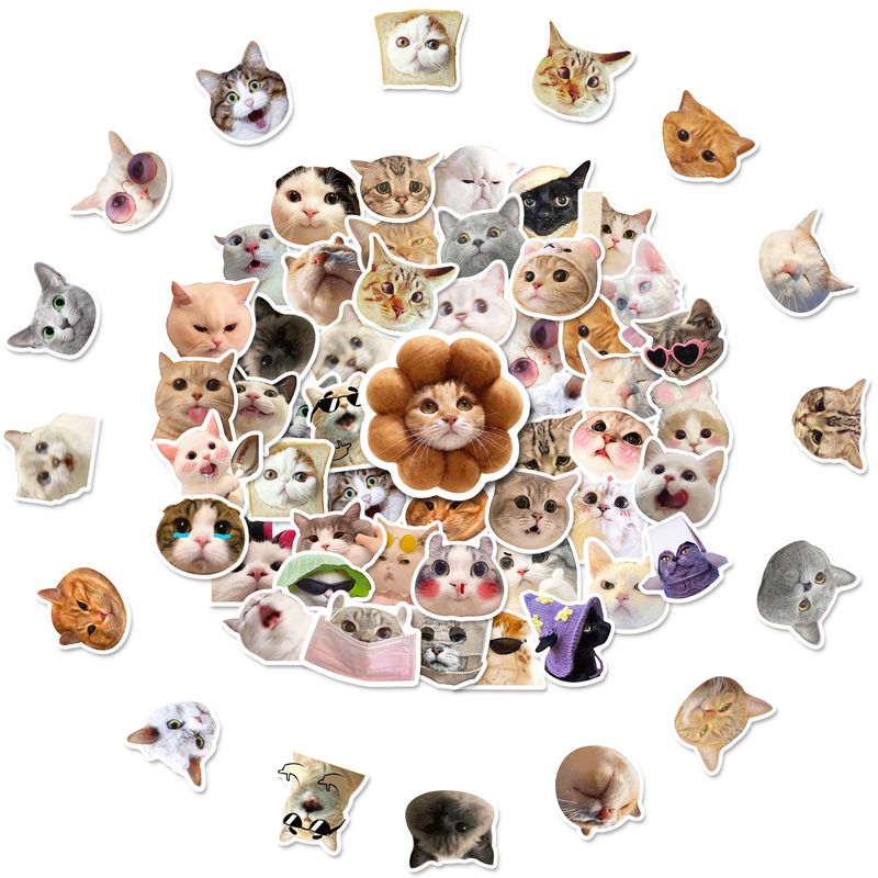 50 Cat Stickers, Internet Celebrity Cat Expression Pack, Graffiti Stickers, Cute Funny Cat Head Stickers_voghion.com