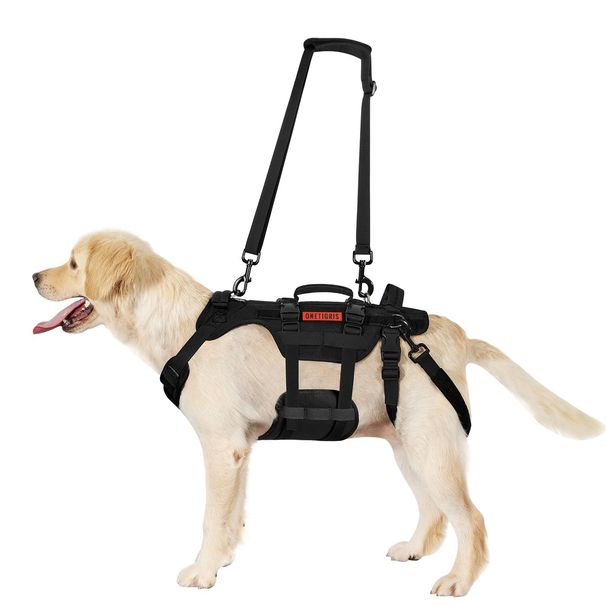 Neu Weste Outdoor Hund Explosion-Proof Stilvolle Leine Taktische Harness_voghion.com