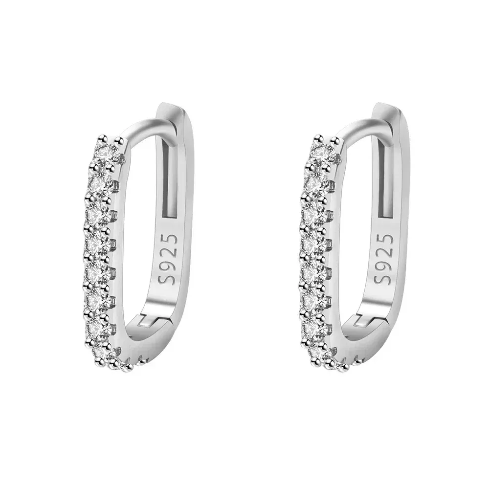 Aurora Atelier 925 Sterling Silver Circle Hoop Earrings For Women Fashion Luxury Crystal Zirconia Earrings Party Wedding Versatile Jewelry_voghion.com