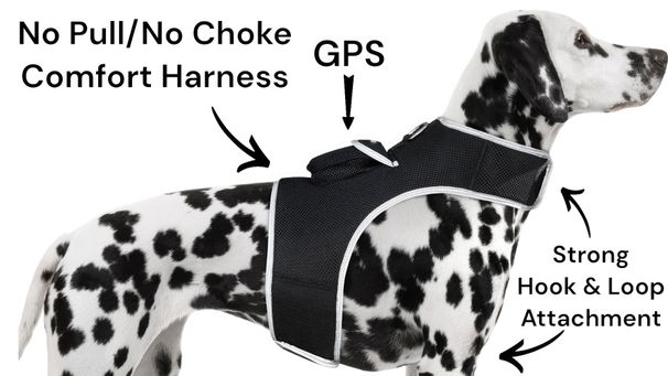 Waterproof Collar Mount Tracker Realtime GPS GSM Puppy Tracking Device Size:XL_voghion.com