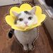 Sunflower Elizabethan EVA Sponge Lightweight Headband Cat Supplies Neck Anti-Lick Shame Collar Neutering Use_voghion.com