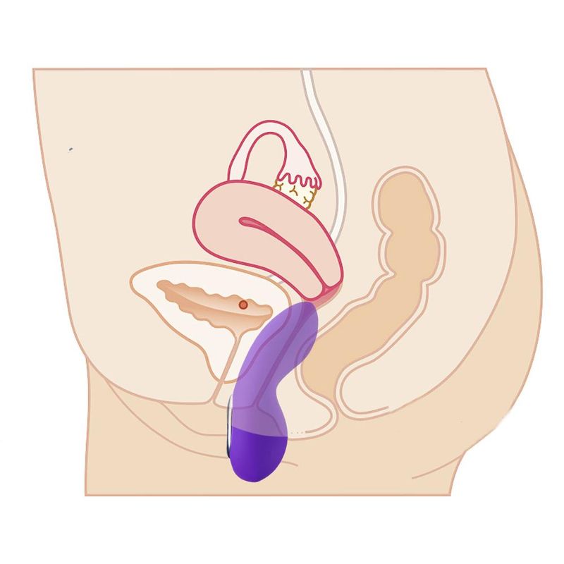 2023 Sex Vibratoren 10 Geschwindigkeiten U Vibrator Erotische spielzeug Für Frauen G-punkt Stimulieren Vibratoren Für frauen Sex Spielzeug für Paare 2023 heißer_voghion.com