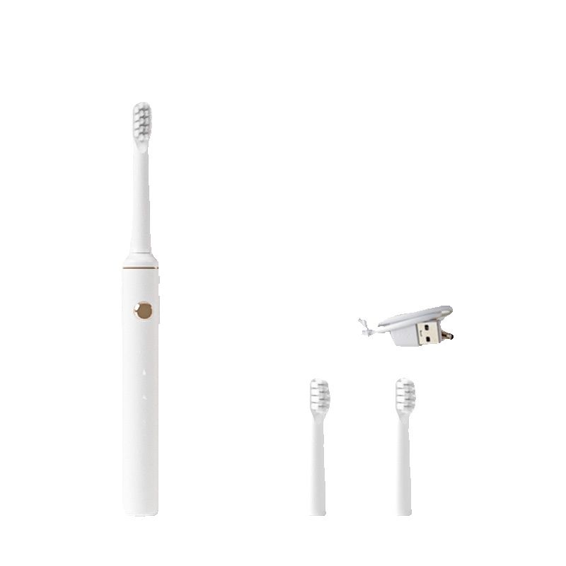 Chuanghe 2024 New for Adult Couples Level 8 Waterproof Soft Hair Portable Travel Electric Toothbrush 2 Brushes_voghion.com