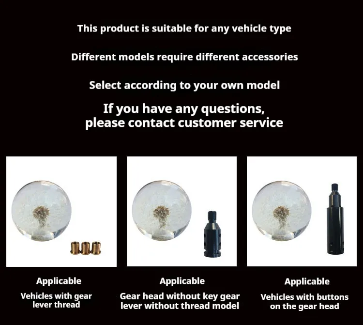 JDM Voiture Cristal Tête de Vitesse Modification Personnalité Universelle Pissenlit Créatif Manuel Levier de Vitesse Automatique_voghion.com