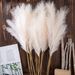 Hochzeit 4-zackigen Pampas Reed Gras INS Stil künstliche Blumen Home Dekoration grenzüberschreitenden Großhandel künstliche Blumen MW85004_voghion.com