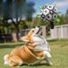 Border Collie Self-Entertainment Toy Labrador Corgi Training Special Dog Soccer Ball Durable Pet Supplies_voghion.com