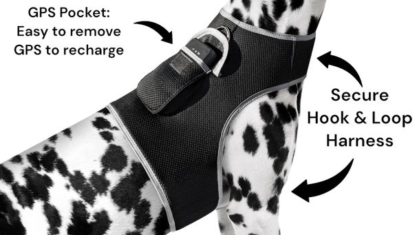 Mini Dog Tracking Collar Mount Device w/ Rechargeable Battery + Sturdy Exterior Size:L_voghion.com