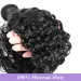 Water Wave Human Hair Bundles Curly Deep Wave Brazilian Natural Black Remy Hair 100% Human Hair_voghion.com