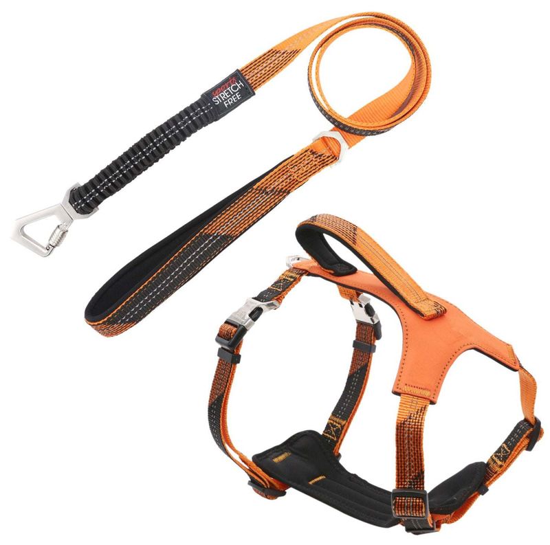 Pet Life 'Geo-prene' 2-in-1 Shock Absorbing Neoprene Padded Reflective Dog Leash and Harness_voghion.com