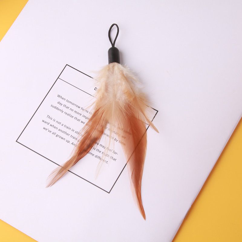 Kleurrijke plaagstaf met veren, vervangende kop, interactief speelgoed voor katten_voghion.com