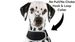 Affordable Realtime Rechargeable Dog Collar GPS Tracking Device Water Resistant Size:XS_voghion.com