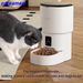Distributeur automatique de nourriture pour animaux de compagnie, 1 unité, intelligent, avec contrôle par application, pour chats et chiens, distributeur intelligent de nourriture pour animaux de compagnie, télécommande_voghion.com