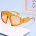 LazyZoom Y2K Sports Cycling Large Frame New Face Mask Fashion Personality Hot Girl Sunglasses For Women_voghion.com