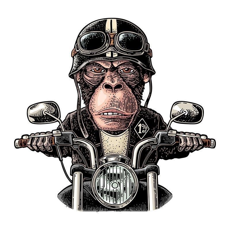 naklejka na samochód z kreskówek jazda na motocyklu goryl szyba motocykl naklejka dekoracja_voghion.com