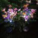 Solar Garden Lights - Sunflower & Firefly LED Outdoor Decoration, IP65 Waterproof Warm White (2 Pack, 20 LEDs, 8H Runtime)_voghion.com